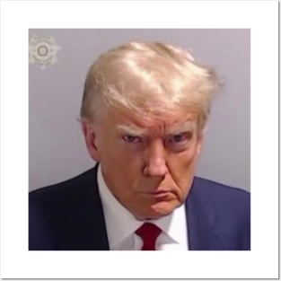 Trump Mug Shot Posters and Art